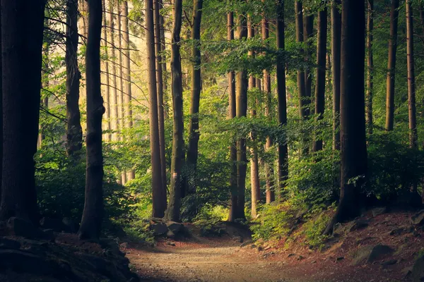 Fruška Gora Nationalpark